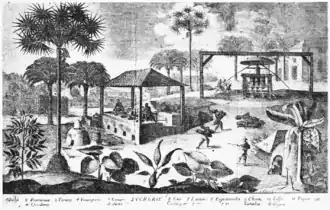 Image 21A sugar mill in Haiti (L'Homme et la Terre by Élisée Reclus, 1830–1905) (from History of Haiti)