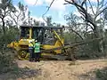 D6 5EX dozer (plant P3 - Swan Coastal 53), Moore River National Park, October 2013.