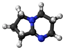 DBN molecule