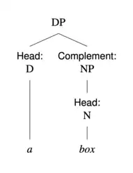 A DP with a head D "a" and a complement NP. The NP is headed by the N "box"