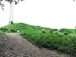 A gravel path and hillocks.