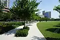 Path and the lawn inside the park