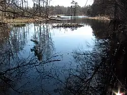 View of the lake