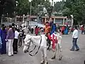 Children getting ready for a pony ride on Chowrasta