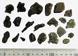 Assorted fragments of Darwin glass (scale in mm)