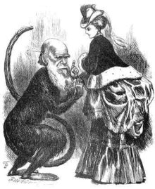 Charles Darwin, drawn as a monkey, contemplates a modern woman with puzzlement