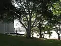 Cannons at the Dawes Point "Tarra" interpretive park