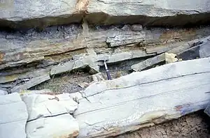 De-watering dike associated with a high-density turbidite. Cozy Dell Formation, California.