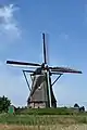 De Blazekop [nl]