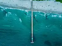 Deerfield Beach pier from above