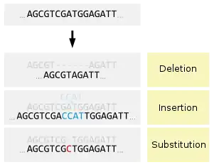 Image 32Types of small-scale mutations (from Mutation)