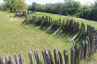 Remains of the Deligrad fortress