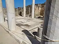 Floor mosaic in the peristyle hall of the House of Dionysos