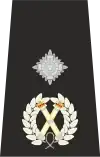 UK Police Deputy Chief Constable Epaulette