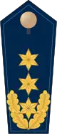 Blue epaulette with 3 golden stars and oak leaves