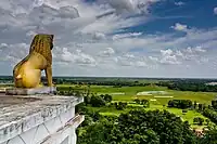 Dhauli hillock