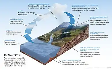 Deep water cycle