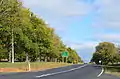 'Canadian Elm' / 'Canadian Giant', Avenue of Honour, Digby, Victoria (2015), grown back after pruning