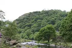 A view up the hillock, covered with vegetation.