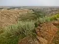 Dinosaur Provincial Park