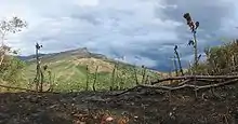 Some scorched earth on the crater rim to the south of Santa Fe