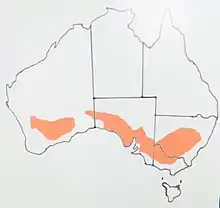 Distribution Map Gilbert's whistler (Pachycephala inornata)