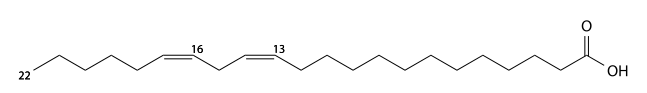 docosadienoic acid structure