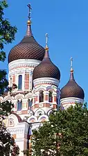 The cathedral domes