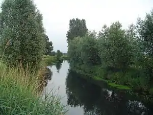 Dommel in the Dommelbeemden in Nijnsel