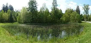 Village pond