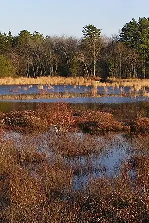 Double Trouble State Park