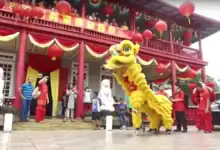 Image 32Lion dance at Chinese New Year celebrations in Suriname (from Suriname)