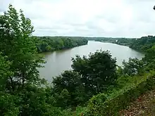 Curving river with thick trees on both sides