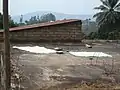 Drying Manioc in Bana