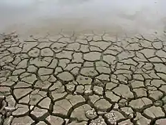 Shrinkage caused by drying