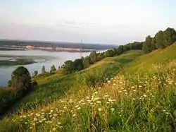 View from the selo of Dudenevo on the Oka River and the Shukhov Tower