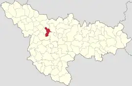 Location in Timiș County