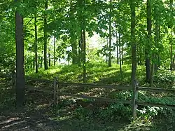 Dunns Pond Mound