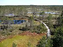 Image 10Viru Bog in Lahemaa National Park, Estonia, which is rich in raised bogs (from Bog)