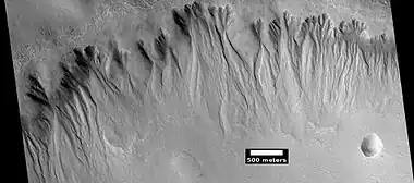 Gullies on wall of crater, as seen by HiRISE under HiWish program Location is the Mare Acidalium quadrangle.