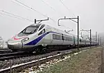 Eurocity, formerly Cisalpino, operates on international main lines within the European Union by Trenitalia. Stops in big cities.