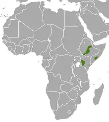 Horn of Africa in central east Africa