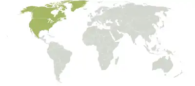 Extent of the Nearctic realm