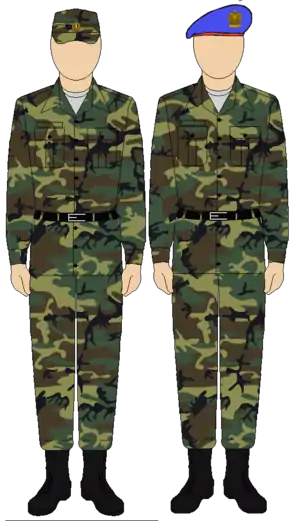 Egyptian Republican Guard camouflage uniform