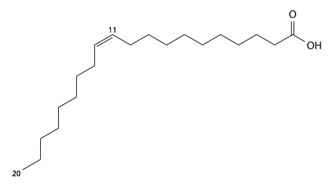 eicosenoic acid structure