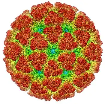 Cryoelectron microscopy reconstruction of "Chikungunya virus". From EMDB entry EMD-5577