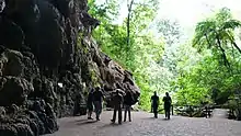 Guácharo Cave National Park, Monagas State