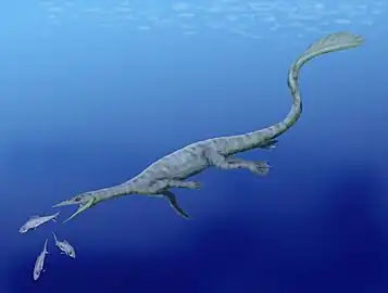 Restoration