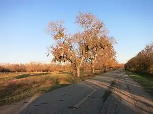 There are a few homes and pastures along County Road 42.