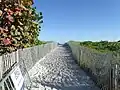 Beach access in Ocean Drive